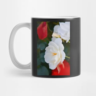 Garden Flowers Mug